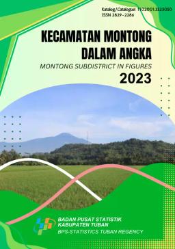 Montong Subdistrict In Figures 2023